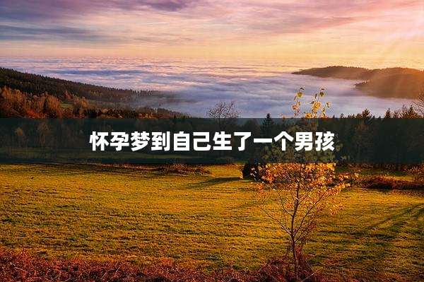 怀孕梦到自己生了一个男孩