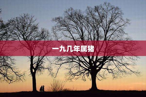 一九几年属猪