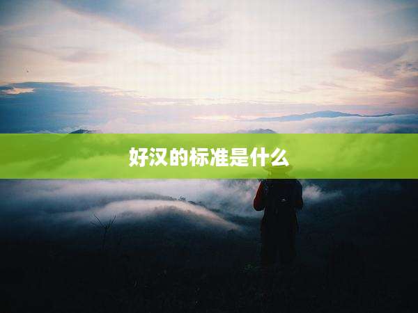 好汉的标准是什么