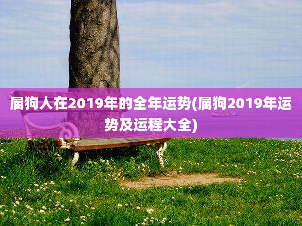 属狗人在2019年的全年运势(属狗2019年运势及运程大全)