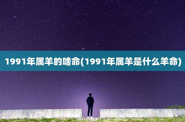 1991年属羊的啥命(1991年属羊是什么羊命)