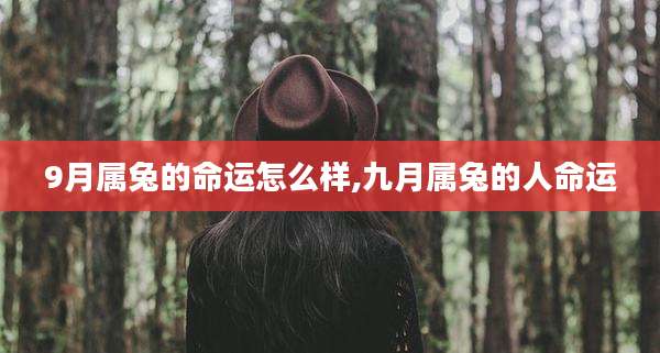 9月属兔的命运怎么样,九月属兔的人命运