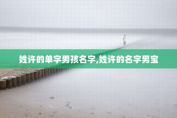 姓许的单字男孩名字,姓许的名字男宝