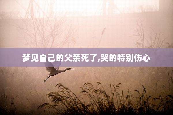 梦见自己的父亲死了,哭的特别伤心