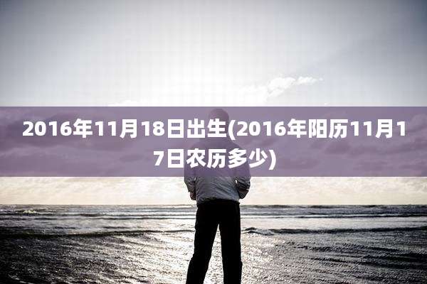 2016年11月18日出生(2016年阳历11月17日农历多少)