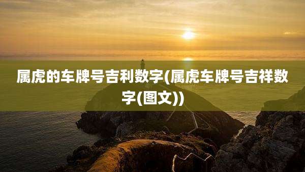 属虎的车牌号吉利数字(属虎车牌号吉祥数字(图文))