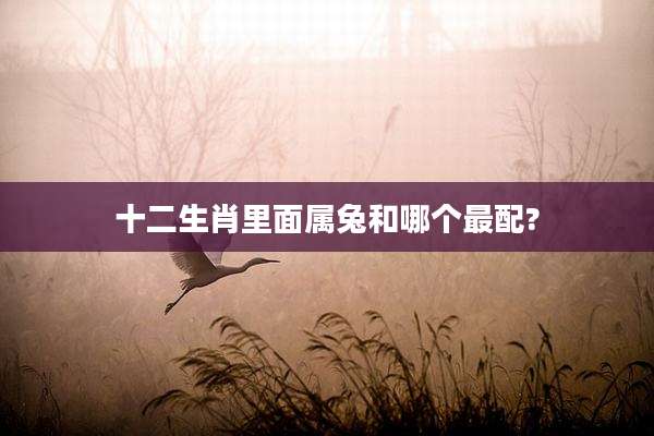 十二生肖里面属兔和哪个最配?