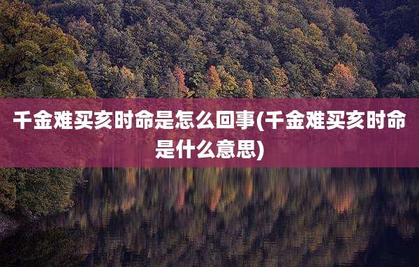 千金难买亥时命是怎么回事(千金难买亥时命是什么意思)