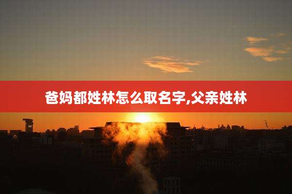 爸妈都姓林怎么取名字,父亲姓林