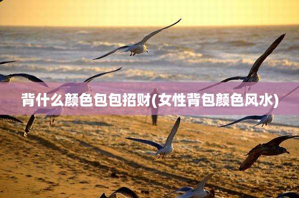 背什么颜色包包招财(女性背包颜色风水)