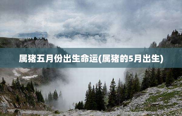 属猪五月份出生命运(属猪的5月出生)