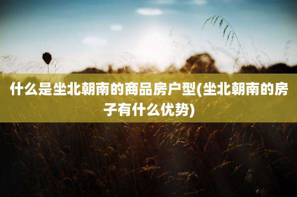 什么是坐北朝南的商品房户型(坐北朝南的房子有什么优势)