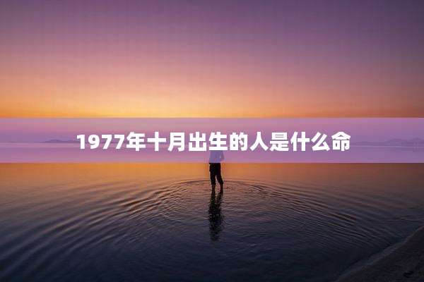 1977年十月出生的人是什么命