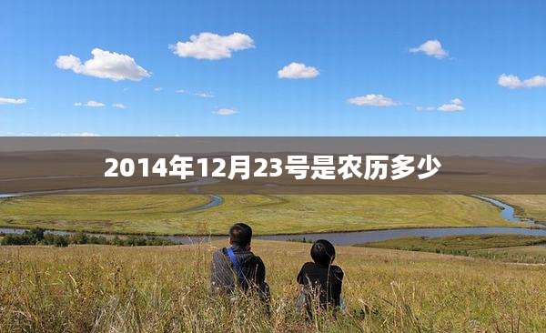 2014年12月23号是农历多少