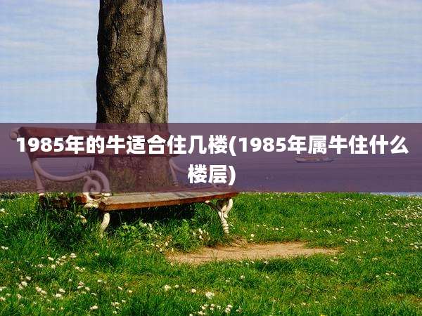 1985年的牛适合住几楼(1985年属牛住什么楼层)