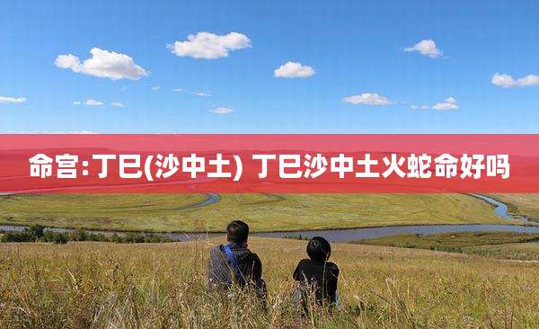 命宫:丁巳(沙中土) 丁巳沙中土火蛇命好吗