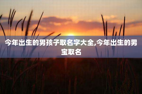今年出生的男孩子取名字大全,今年出生的男宝取名