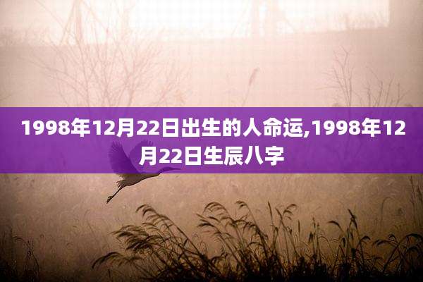 1998年12月22日出生的人命运,1998年12月22日生辰八字