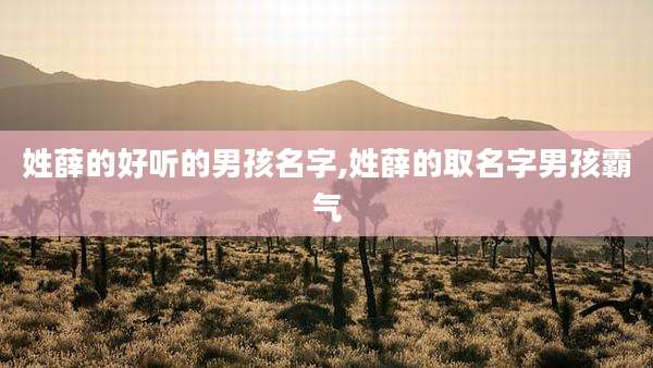姓薛的好听的男孩名字,姓薛的取名字男孩霸气