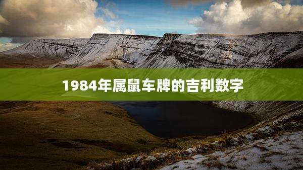 1984年属鼠车牌的吉利数字