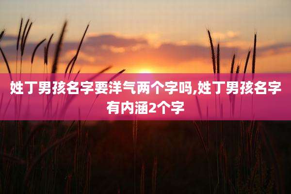姓丁男孩名字要洋气两个字吗,姓丁男孩名字有内涵2个字