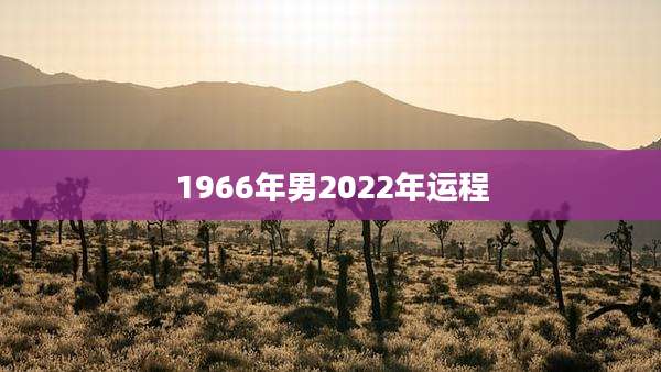 1966年男2022年运程