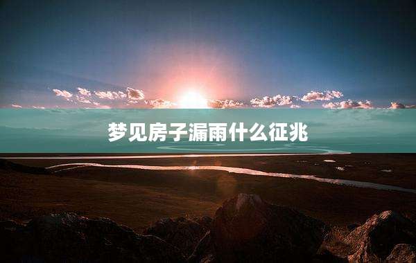 梦见房子漏雨什么征兆