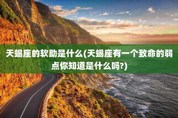 天蝎座的软助是什么(天蝎座有一个致命的弱点你知道是什么吗?)