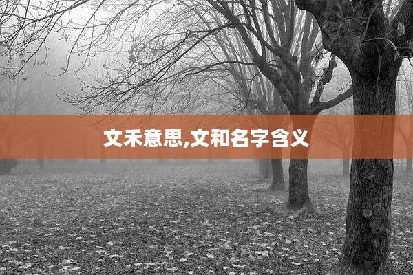 文禾意思,文和名字含义