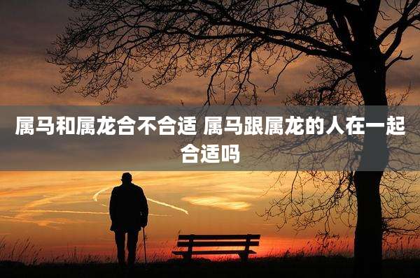 属马和属龙合不合适 属马跟属龙的人在一起合适吗