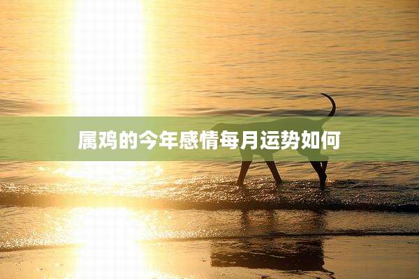 属鸡的今年感情每月运势如何