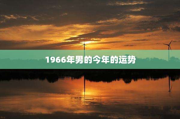 1966年男的今年的运势