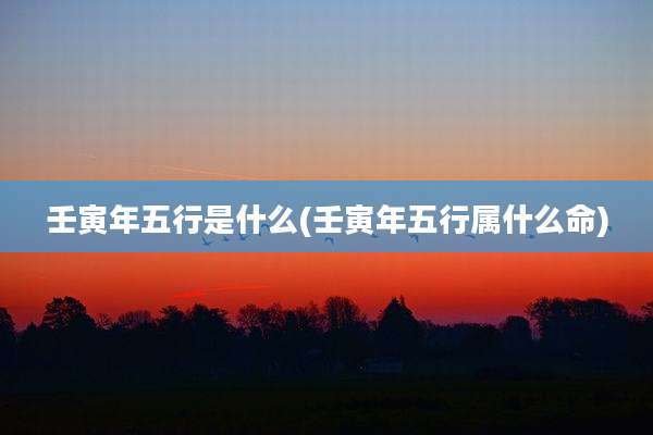 壬寅年五行是什么(壬寅年五行属什么命)