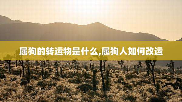 属狗的转运物是什么,属狗人如何改运