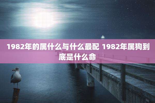 1982年的属什么与什么最配 1982年属狗到底是什么命