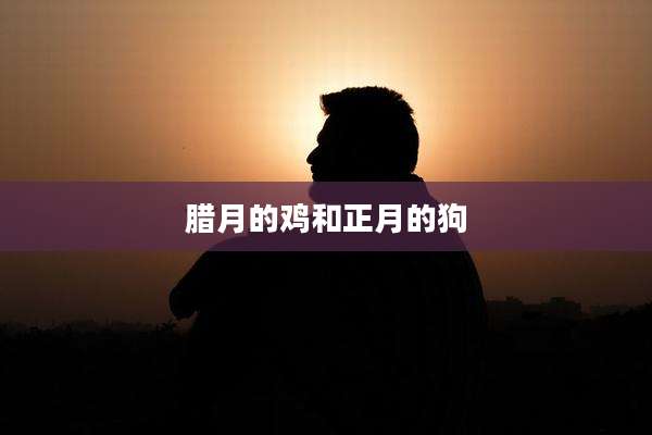 腊月的鸡和正月的狗