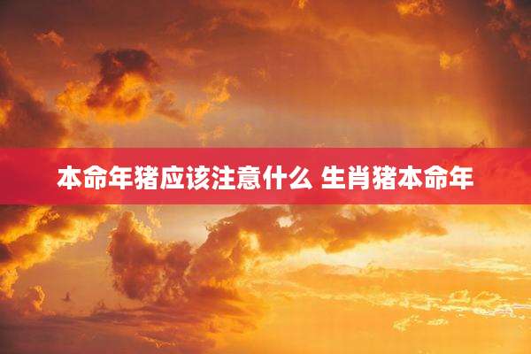 本命年猪应该注意什么 生肖猪本命年
