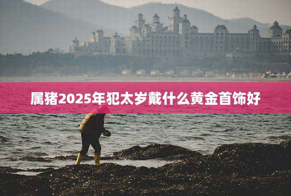 属猪2025年犯太岁戴什么黄金首饰好