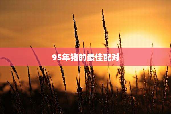 95年猪的最佳配对