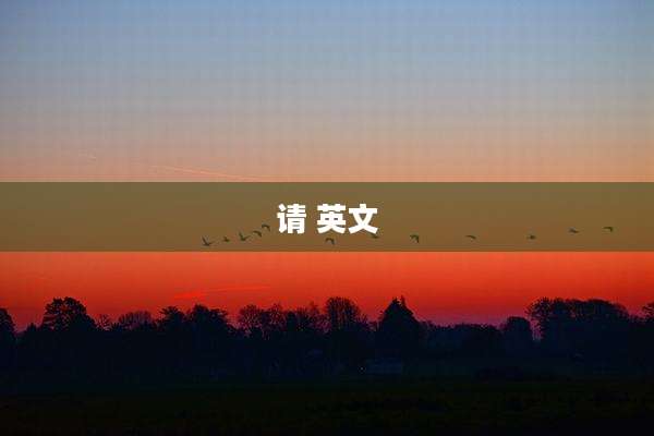 请 英文