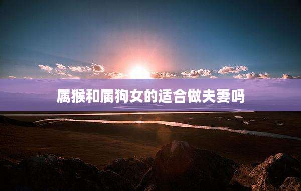 属猴和属狗女的适合做夫妻吗