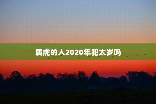 属虎的人2020年犯太岁吗