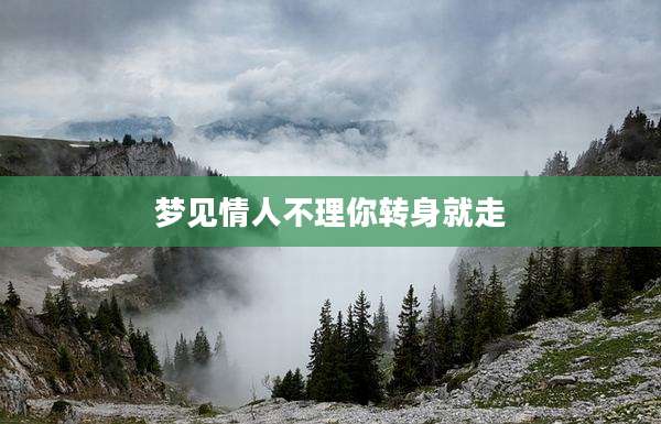 梦见情人不理你转身就走