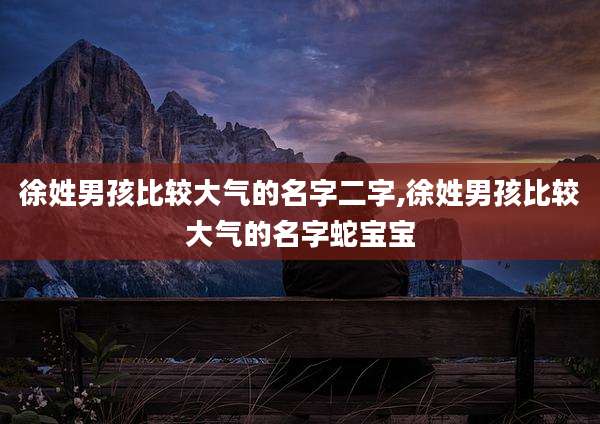 徐姓男孩比较大气的名字二字,徐姓男孩比较大气的名字蛇宝宝