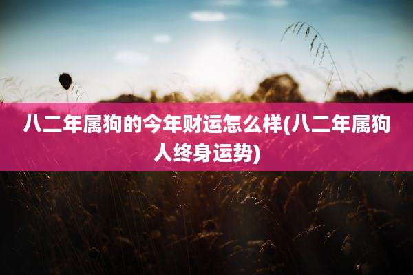 八二年属狗的今年财运怎么样(八二年属狗人终身运势)