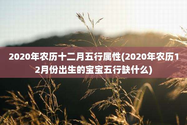 2020年农历十二月五行属性(2020年农历12月份出生的宝宝五行缺什么)