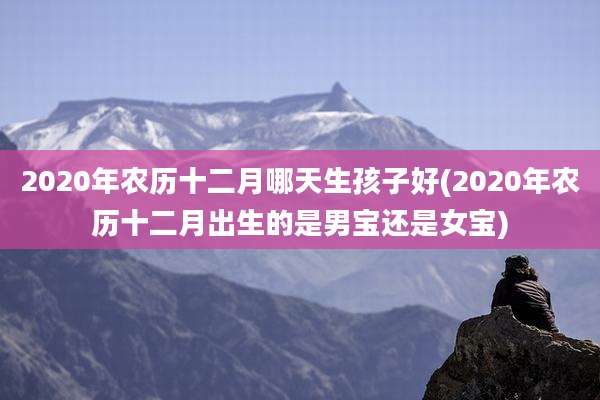 2020年农历十二月哪天生孩子好(2020年农历十二月出生的是男宝还是女宝)