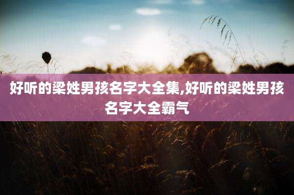 好听的梁姓男孩名字大全集,好听的梁姓男孩名字大全霸气