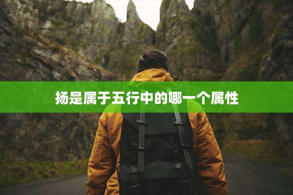 扬是属于五行中的哪一个属性