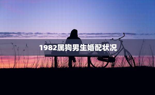 1982属狗男生婚配状况